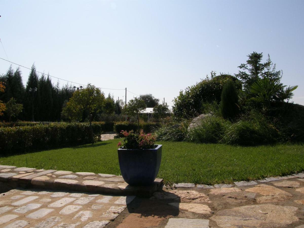 Loft Komotiní